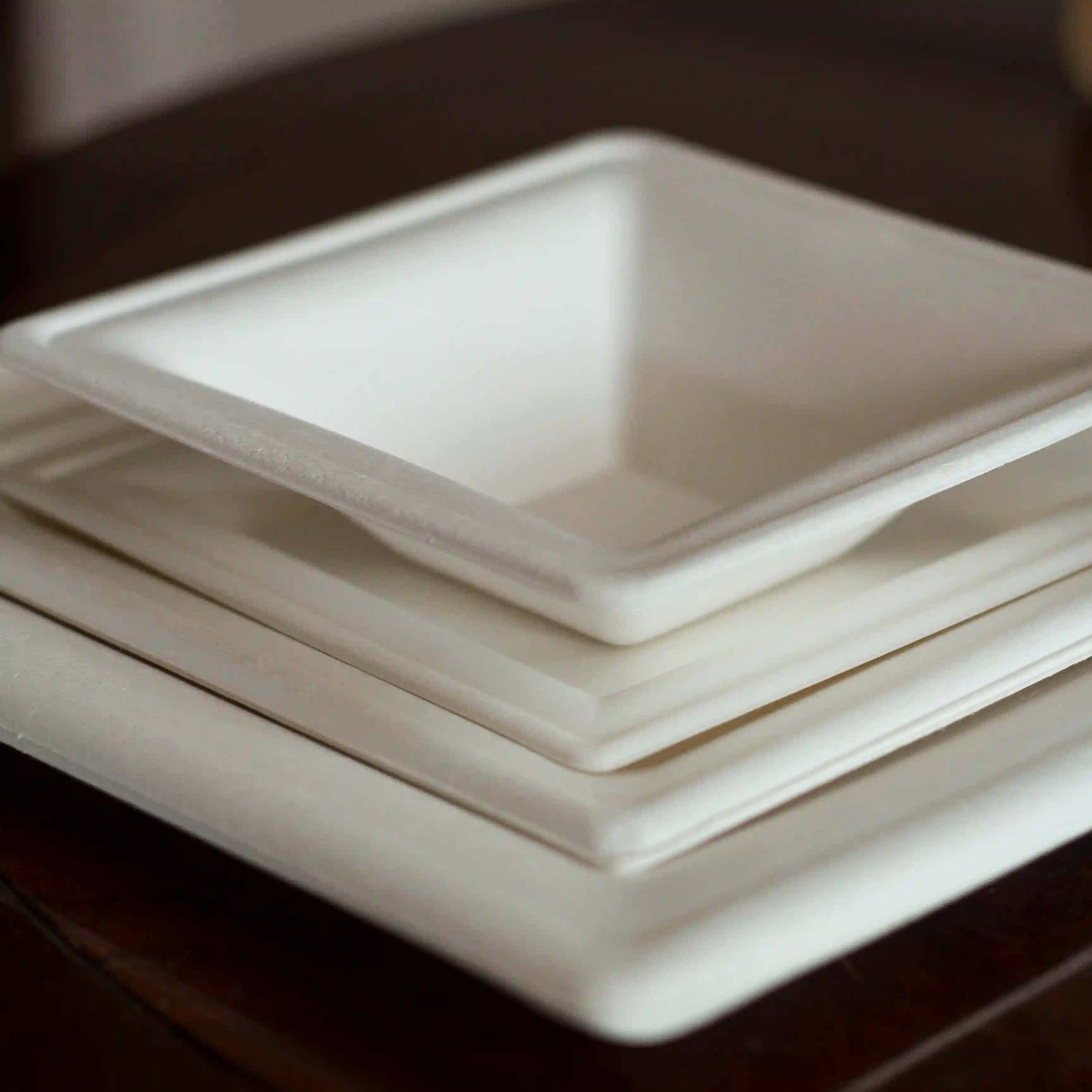 BioShell Tableware Compostable Bagasse Fiber Plates